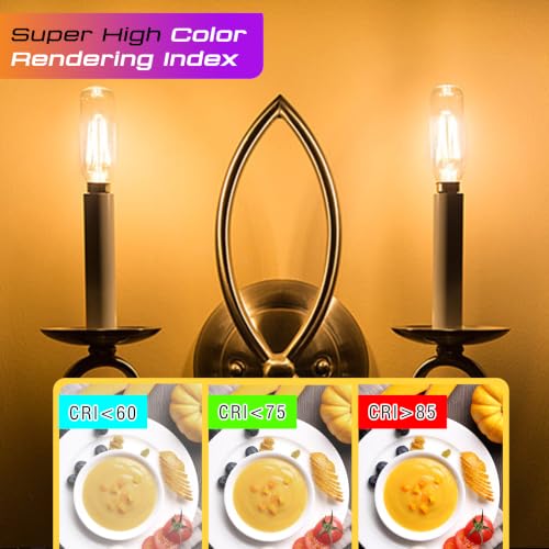 Image of E12 Candelabra Light Bulbs 40W, T25 Edison LED Bulbs Warm White 2700K, 2Pcs | E12 Vintage Filament Light Bulbs for Himalayan Salt Lamps & Baskets, Chandelier, Ceiling Fan|T6 LED Bulb Clear Glass|4W 450LM