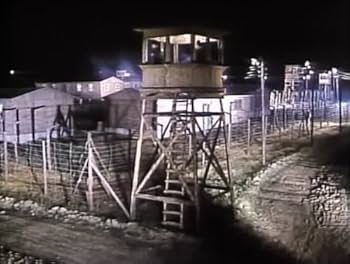 ルトガー・ハウアー 危険な愛 廃盤DVD 新品未開封 Amazon.co.jp: ルトガー・ハウアー 危険な愛 [DVD] : ルドガー