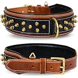 Leatherific Spiky Series Heavy Duty Spike Dog Collar | Premium Genuine Bridle Leather, Padded, Strong, 2' Wide, for Medium Breeds, Black Brown Charcoal, M fits Neck 14' to 18'