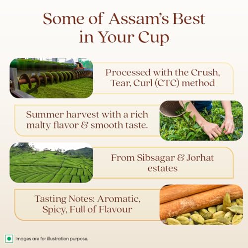 Image of 1868 by TATA Tea Kolkata Street Chai, Blend of Assam Black Tea, Ginger, Cardamom, Nutmeg, Spicy, Strong, Sweet, Whole Loose Leaf, From House of TATA (30 Cups /100g) (Pack of 2)