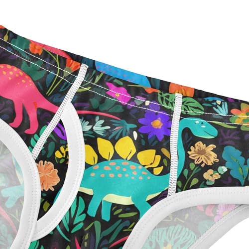 Cute Dinosaurs Toddler Boy's Underwear 2T 202c12014