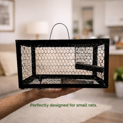 Image of PulGos Pack of 2 Mouse Trap Cage Rats | Heavy Duty Iron Rat Trap (Chuha Pinjara) | Rustproof Metal Catch & Release Trapper | Durable Rodent Cage for Home, Kitchen Use(Black)