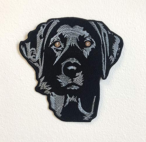 Blue Lab Labrador Retriever Dog grande giacca Iron/Sew on embroidered patch