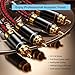 Primeda Auidophile 2RCA Male to 2RCA Male Stereo Audio Cable,Gold Plated | 4N Oxgen-Free Copper Core (2.5 Feet (0.75M))