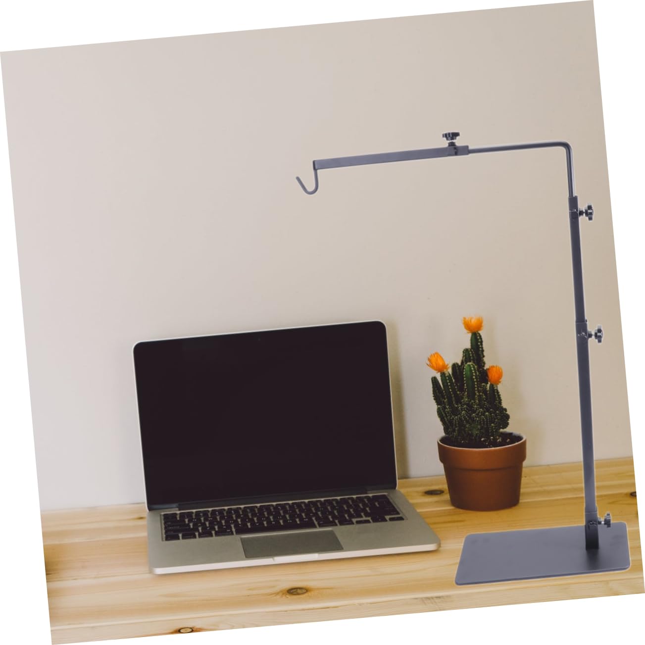 BESPORTBLE 3 Pezzi Supporto Luci Posteriori Lampada Basking Luce Notturna Lampada Animale Luce Del Serpente Supporto Per Rettili Di Calore Per Rettili