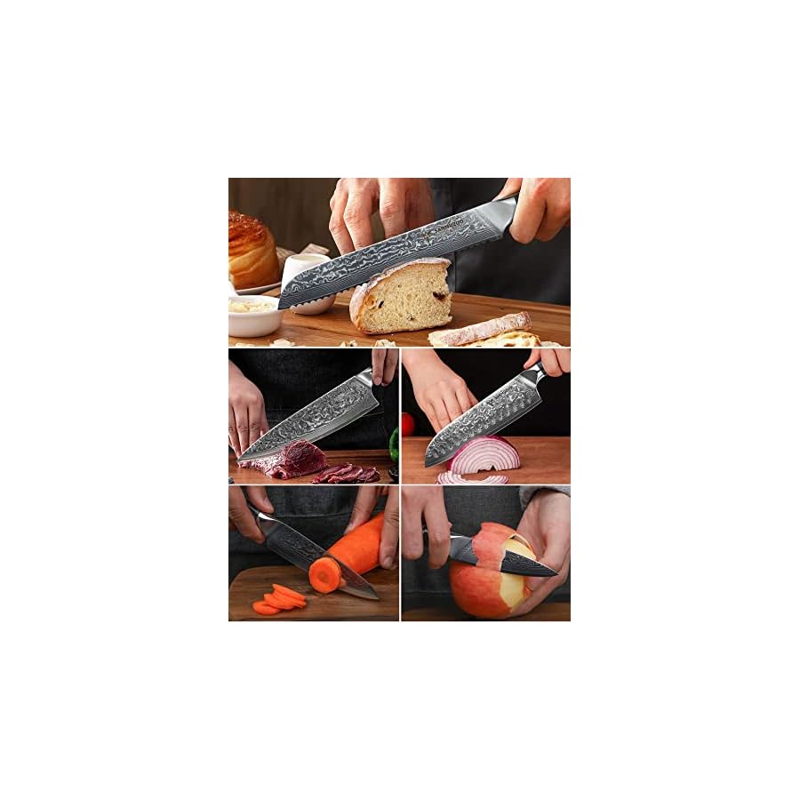 SANMUZUO Chef Cooking Knives Set- Kitchen Knife Set of 5 Piece - Ultra-Sharp VG10 Damascus Steel & Resin Handle - Xuan Series (Starry Black)