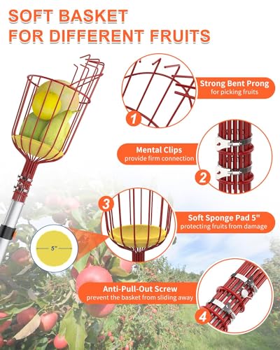 Recolector de Frutas Telescópico Buyplus 26ft con Cesta miniatura 4