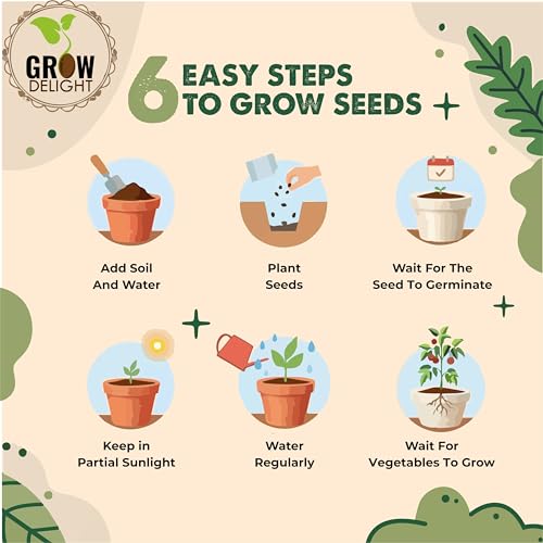 Image of All-Season Combo (2068 Seeds) 10 Varieties Vegetable Seeds for Home Garden, Organic & Hybrid, Perfect for Home Gardening, Ideal for Small Spaces