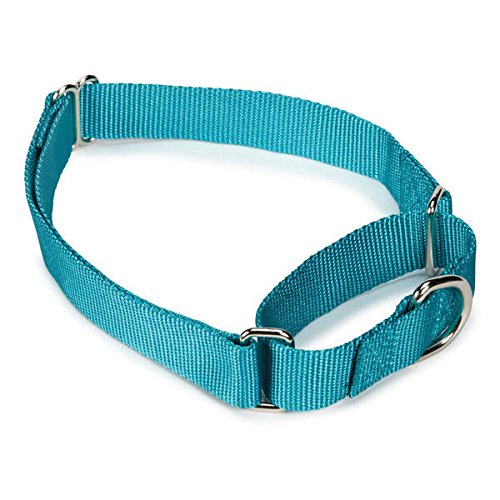 Gaurdian Gear Bulk Lot Martingale Dog Collars at Wholesale Prices Nylon Collar Multi Packs(Light Blue - 14 to 20 Inch 2 Collars)