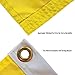Delaware Blue Hens Gold Large Grommet Banner Flag