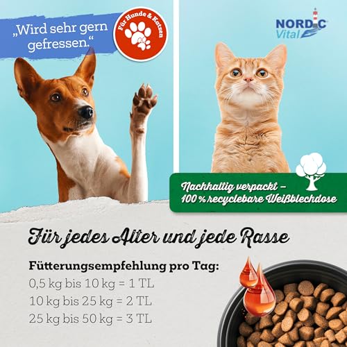 NordicVital Premium Lachsöl Hunde & Katzen 1000ml Weißblechdose – 100% Natürliches Fischöl/Fish Oil aus Norwegen Lachs – Reich an Omega 3&6 Fettsäuren – Barf Öl abgefüllt in Deutschland