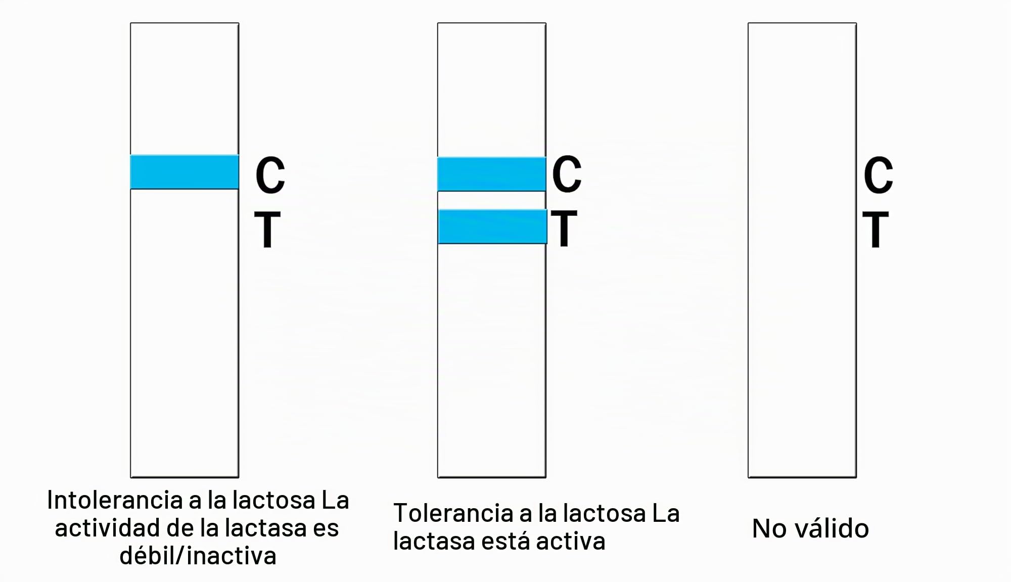 Tiras de prueba de intolerancia a la lactosa en casa, prueba de actividad de lactosa, prueba de sensibilidad alimentaria (2)