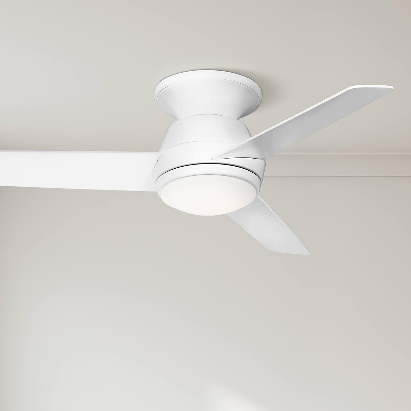 Amazon.com: Casa Vieja 44