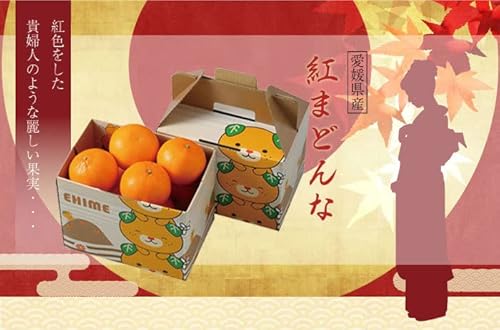 はちやフルーツ 紅まどんな の商品画像 1