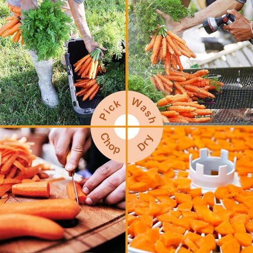 Image of Yimi Premium Dried Carrots, Dehydrated Carrots Flakes For Vegetable Soup
