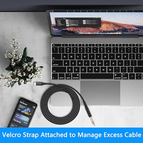 Cable USB C a Jack 6.35mm TRS Audio 1.0 m miniatura 6