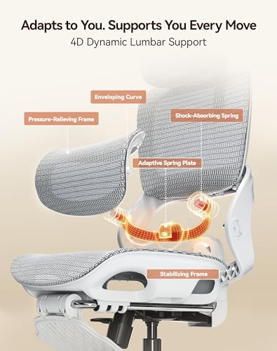 Image of SIHOO B100 Pro Ergonomic Office Chair with Adaptive Lumbar Support, Computer Chair with Dual-Back, Desk Chair with 360 Rotatable & Flip-Up Armrests, 3D Wide Headrest, 2 Packs, Light Grey