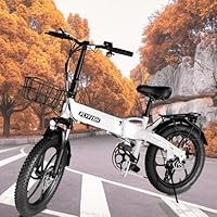 Amazon | FLY FISH 電動アシスト自転車 折りたたみ 型式認定 20インチ