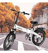 fry fish電動自転車 Amazon | FLYFISH 折りたたみ自転車 型式認定 公道走行可能 免許不要