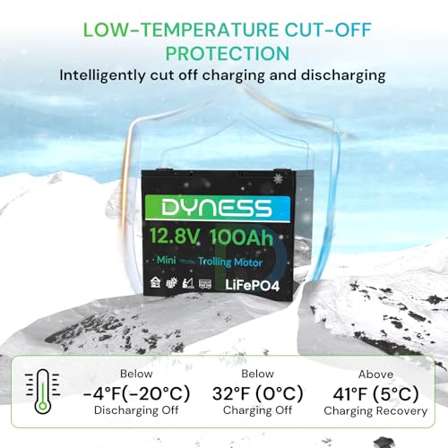 Image of Dyness 12V 100Ah Mini LiFePO4 Battery Group 24, 12.8V Lithium Battery with 100A BMS, Low-Temp Protection & 10 Years Lifespan for Trolling Motor, Marine, Boat, RVs, Solar Off-Grid, Golf Cart