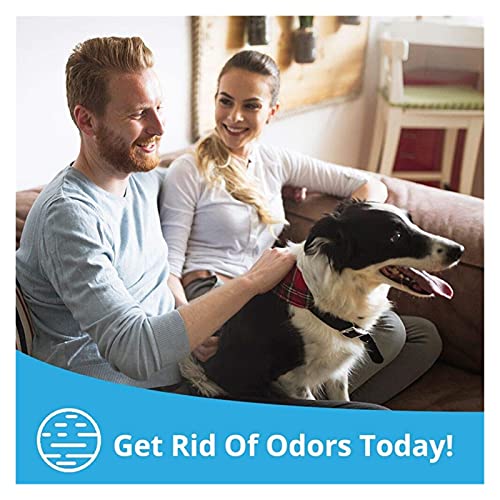 Geactiveerde koolstof 5 Pack Natural Bamboo Houtskool Luchtzuiverende tas Nature Fresh Air Purifier Tassen Geactiveerde… - Image 3