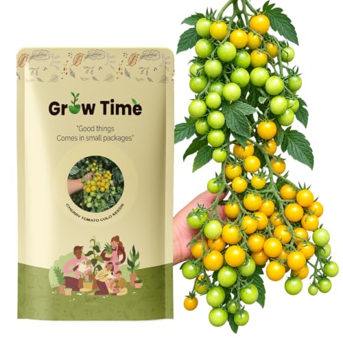 Image of Indeterminate Cherry Tomato Vegetable Seeds, Vegetable Seeds for Home Gardening, Vegetable Planting Seeds for Kitchen, Tomato Seeds (Pack of 300 Seeds) (Red, Indeterminate Cherry Tomato)