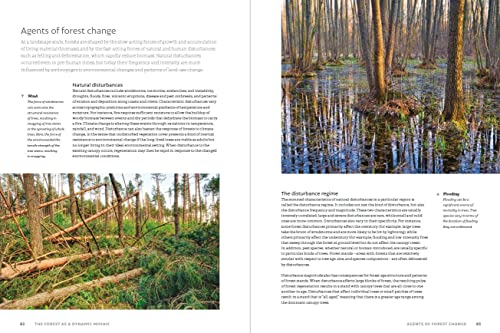 The World Atlas Of Trees And Forests: Exploring Earth's Forest Ecosystems #TOP5