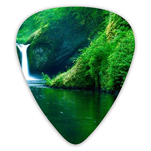 Médiators guitare Waterfall Forest 12 pièces médiators ukulélé 0,46 mm 0,71 mm 0,96 mm - Les Beatles, Paul McCartney, John Lennon, RIngo Starr, George Harrison Médiators guitare Waterfall Forest 12 pièces médiators ukulélé 0,46 mm 0,71 mm 0,96 mm