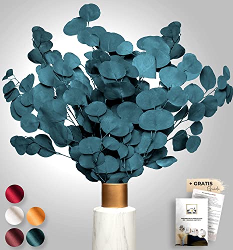 Angebot Black Week Birkental Eukalyptus - extra langlebige und 65-70 cm...