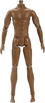 1/6 Scale Action Figure Multi Jointed Movable Male Muscular Action Figure Body for Display Doll Collection Brown 1/6 Scale Body Custom Figures