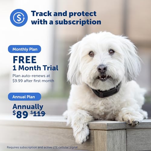 PetSafe Guardian GPS 2.0 Dog Fence + Tracking – Wireless Dog Fence with Reliable Dual Frequency GPS Tracking – Smaller Collar for All Breeds 10 lbs and Above – Subscription Required