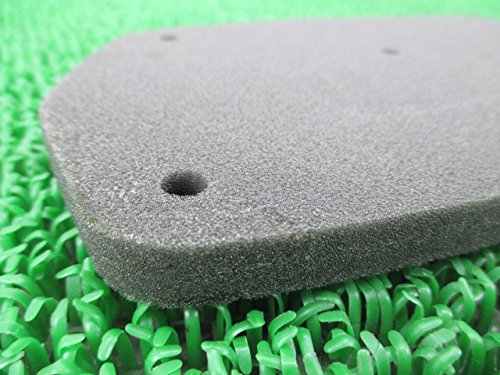 Amazon | タクト純正エアクリーナーエレメント SZ50(GCW) | エア