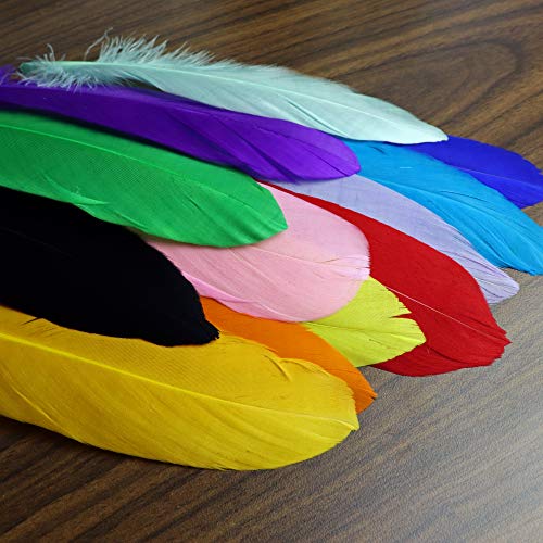 120Pcs Colorful Goose Feathers For Diy Crafts, Jewelry Making, Wedding, Home Or Party Decorations, 12 Colors (6-8 Inches) #TOP4