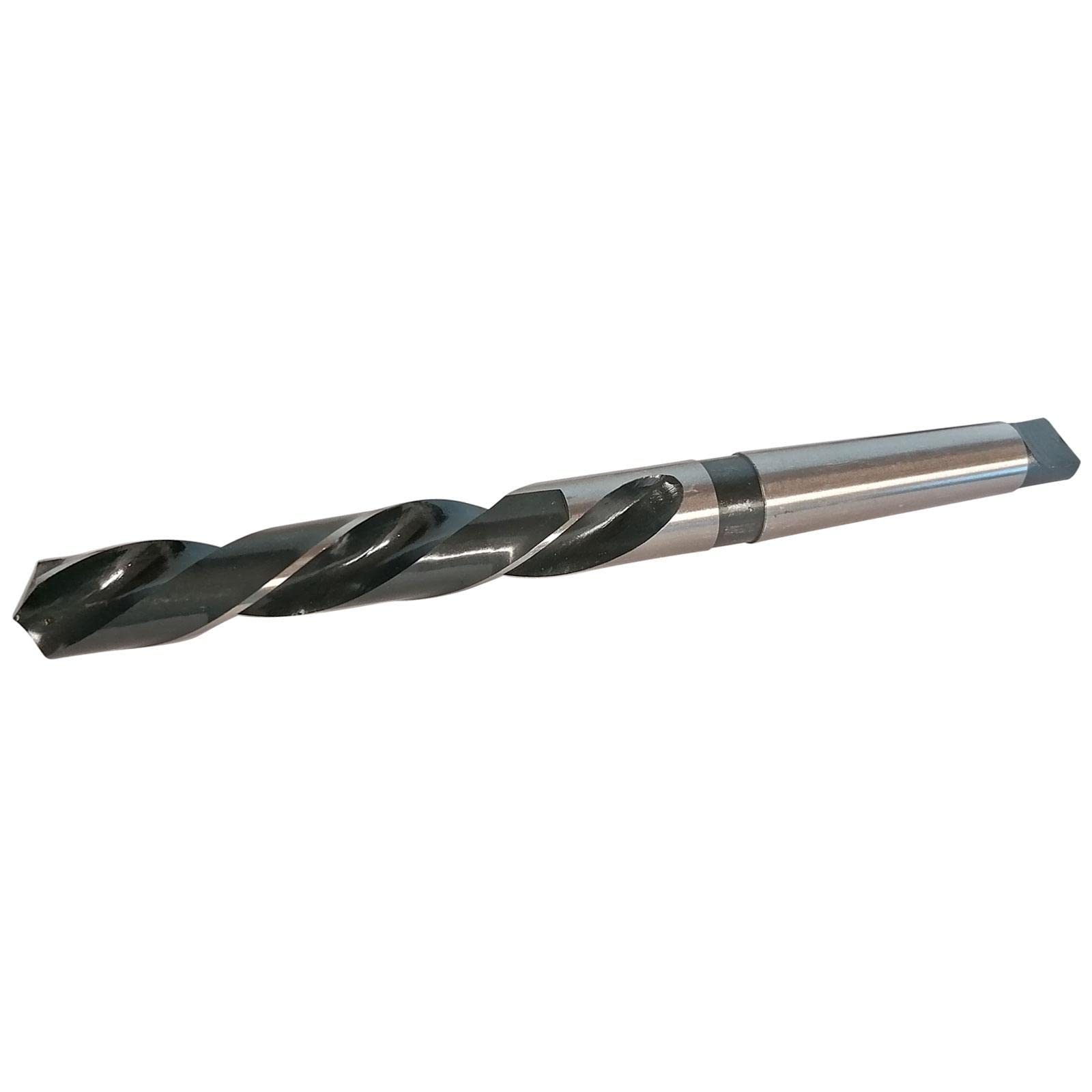 FORETS CONE MORSE - conemorse : FORET DE 25