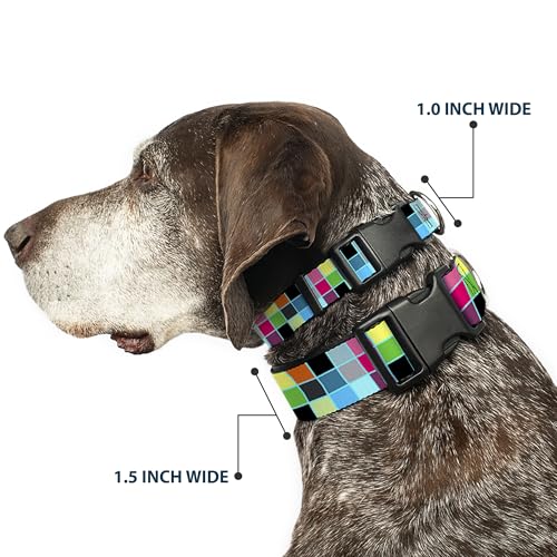 Collier Buckle Down grand chien réglable 15-66 cm - Édition Bright Pastel