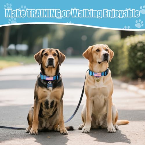 Image of Martingale Dog Collar Reflective NO Pull with USA Flag, L,Sky Blue | Escape Proof without choking,Adjustable Limited Slip Collar with Quick Release Buckle, Nylon Walking Collar for S M L Dogs