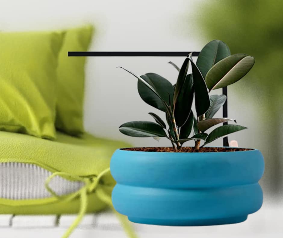 SHAVI DE Mars Ring Self Watering Ceramic Planter Pot for Indoor Plants Table Top - Living Room, Home Decor, Room, Work Desks & Home Garden Decorative Pots (Aqua (7D x 15W x 7.5H Cm)) (B0BQYY9Z4Z) Amazon Price History, Amazon Price Tracker