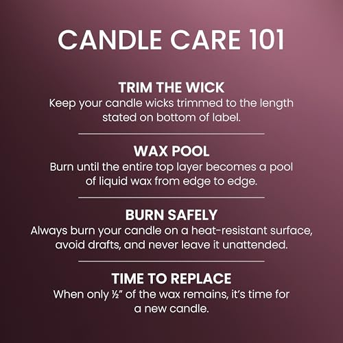 Yankee Candle Large Jar Scented Candle with up to 150 Hour Burn Time, Premium Plant Wax Blend for Consistent Burn, 22 oz Jar Candle with Room Filling Fragrance, Cranberry Chutney