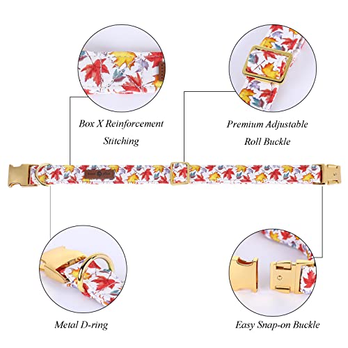 Lionet Paws Dog Collar with Bowtie, Autumn Bowtie for Dogs, Adjustable Comfortable Dog Collar Girl Boy, M, Neck 34-55cm - Image 2