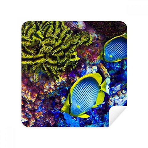 Poisson science lunettes chiffon de nettoyage écran téléphone tissu suède océan nature