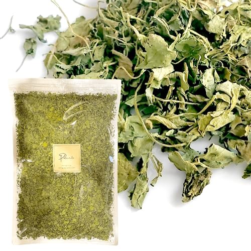 JXeB[ 100g Ɩp e Y ChY JXeB [t JX tFkO[N XpCX n[u h 