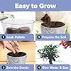 HOME GROWN Bonsai Tree Kit – Premium Ceramic Starter Set with 4 Bonsai Varieties – Easy Indoor Gardening Gift for Men & Women – Unique Plant Kit for Beginners & Nature Lovers #5