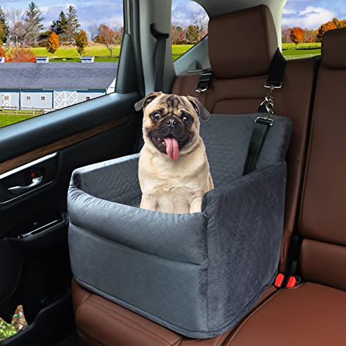 List of Top Ten Best Dog Car Booster Seat [Experts 2023