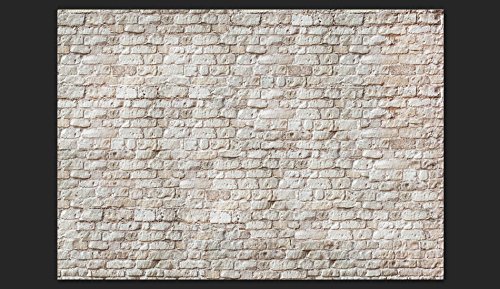 Fotomurale murando Carta da parati 400x280 cm TNT