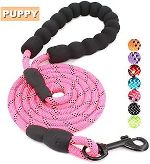 BAAPET 5 FT Strong Dog Leash with Comfortable Padded Handle and Highly Reflective