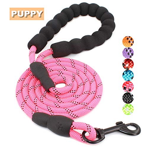 BAAPET 5 FT Strong Dog Leash with Comfortable Padded Handle and Highly Reflective