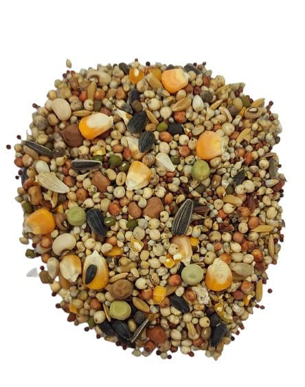 See full amazon price history chart for R.S.Birds & Grains/All Type Bird of Pigeons & Dove/Mix Seed Bird Food 1kg R.S.Birds & Grains/All Type Bird of Pigeons & Dove/Mix Seed Bird Food 1kg (B0C24DWR9C) Amazon Price History, Amazon Price Tracker