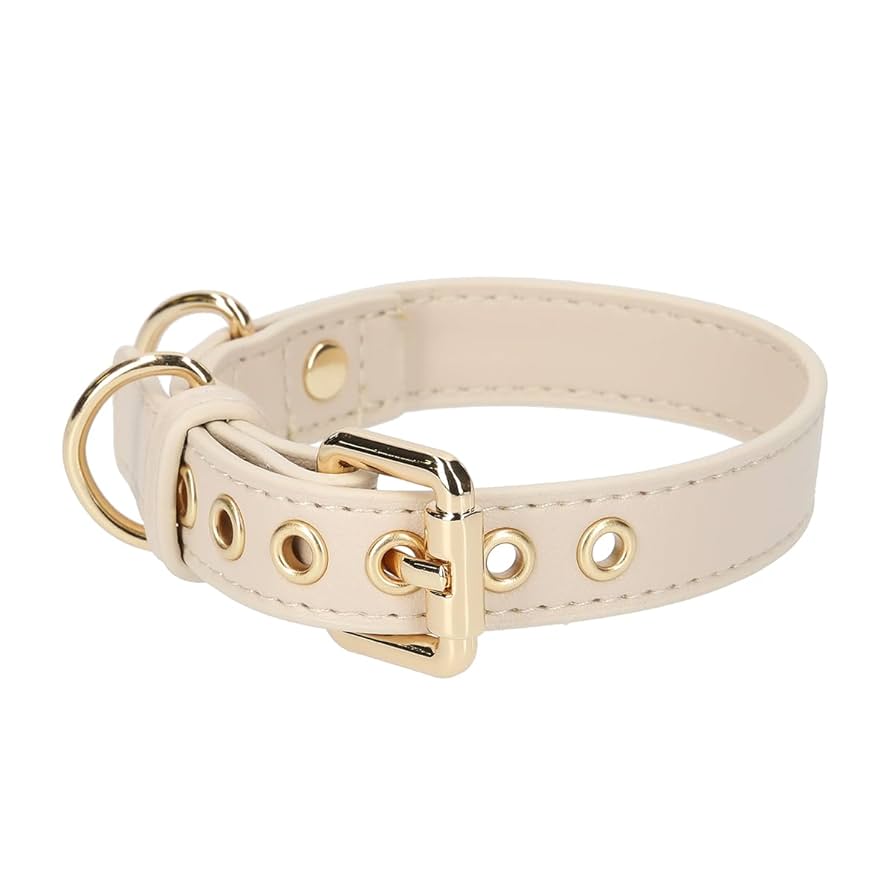 愛犬の首輪 61LIiNp57hL._UF350,350_QL50_.jpg