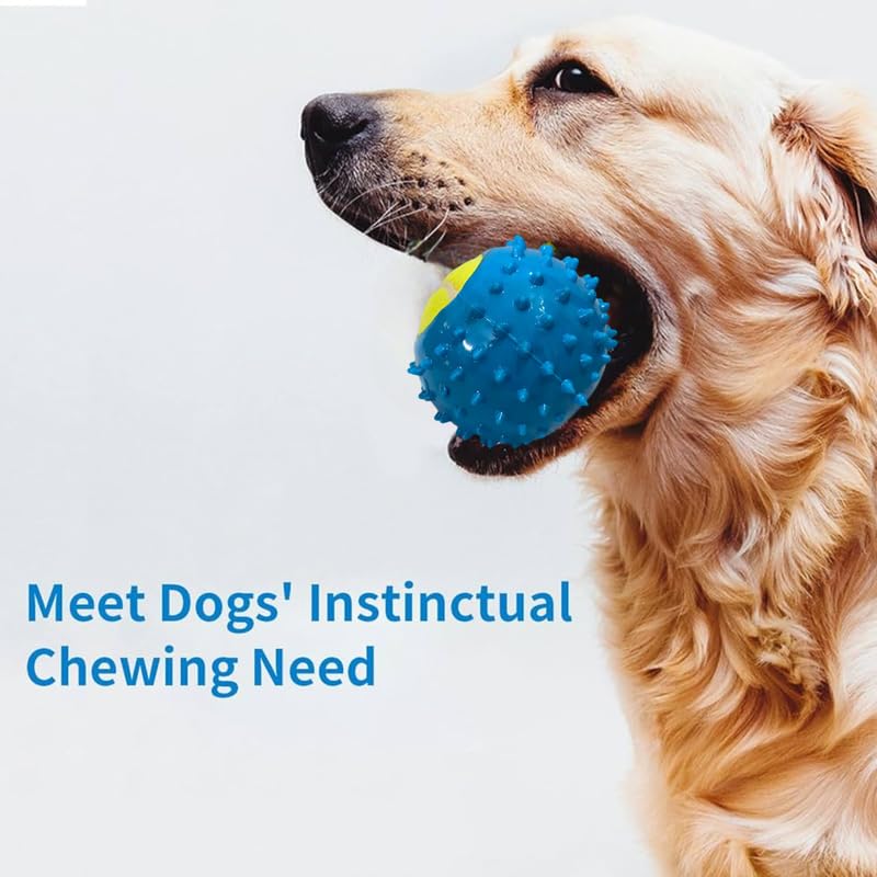 BohoBark Pet Training Ball Floatable Dog Pool Toy Dogs Chew Spiky Ball for Puppy, Ideal for Medium and Small Dogs Teeth Cleaning Supplies 3