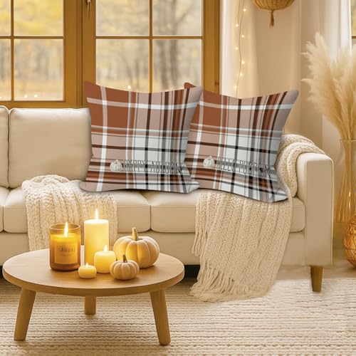 Housse de coussin imperméable déperlante et résistante aux intempéries 61x61